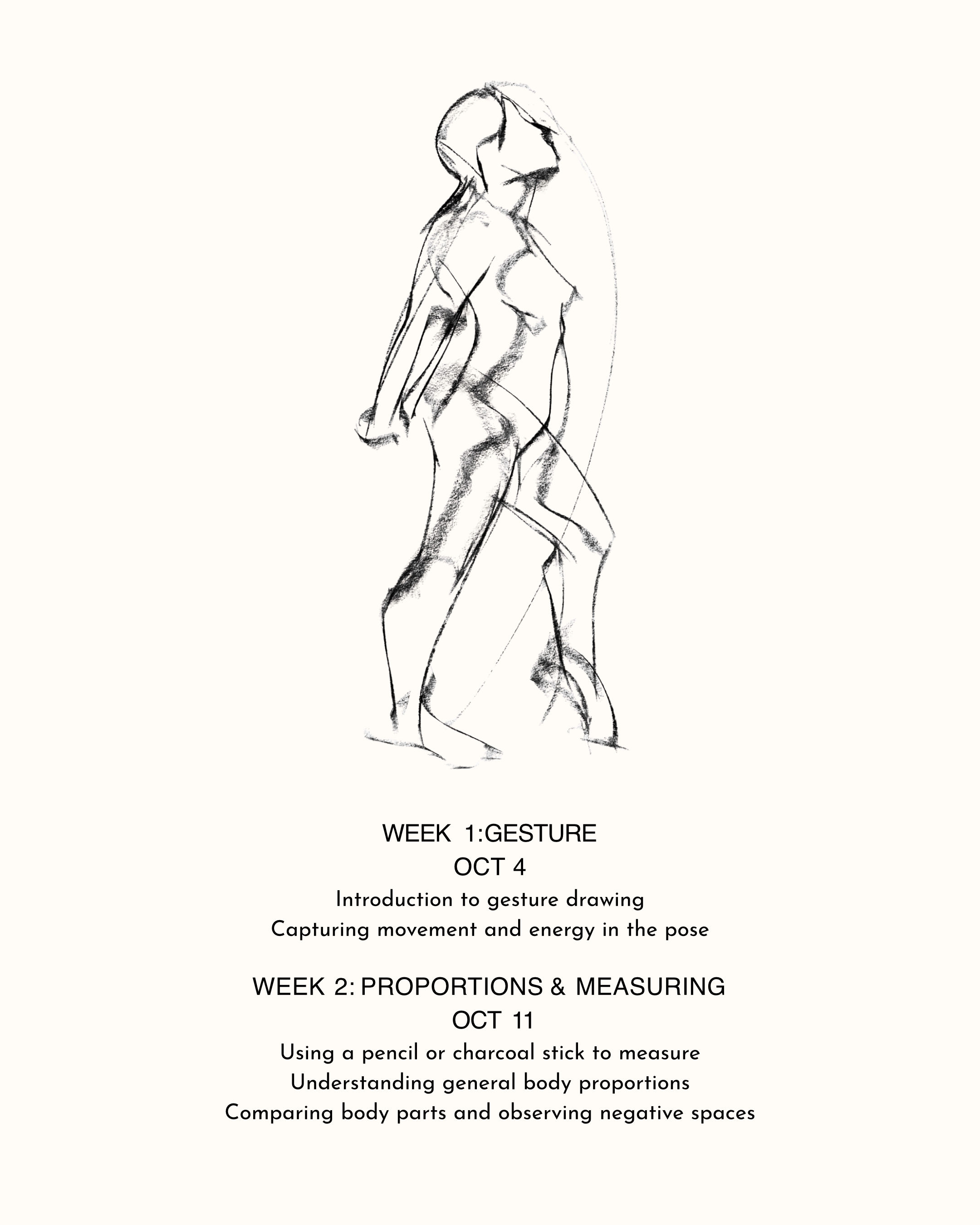 Week 1 - Gesture, Week 2 - Proportions and measuring
